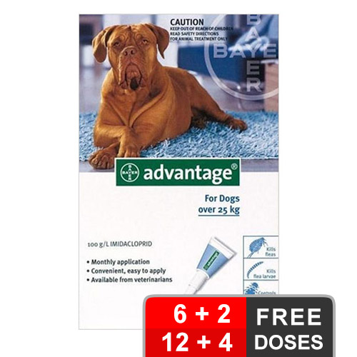 Advantage Extra Large Dogs Over 55 Lbs Blue 4 Months