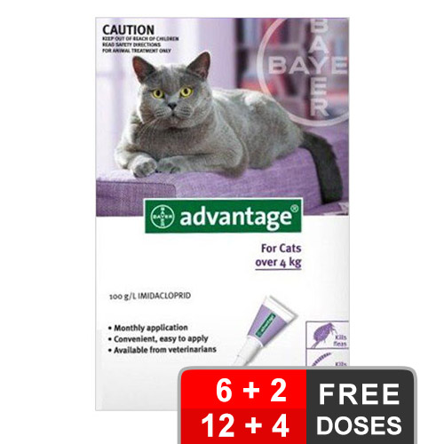 Advantage Cats Over 9lbs Purple 12 + 4 Free