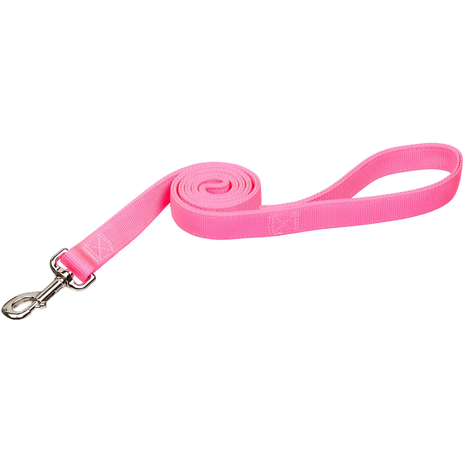 Coastal Pet Double Ply Nylon Personalized Dog Leash in Neon Pink, 6