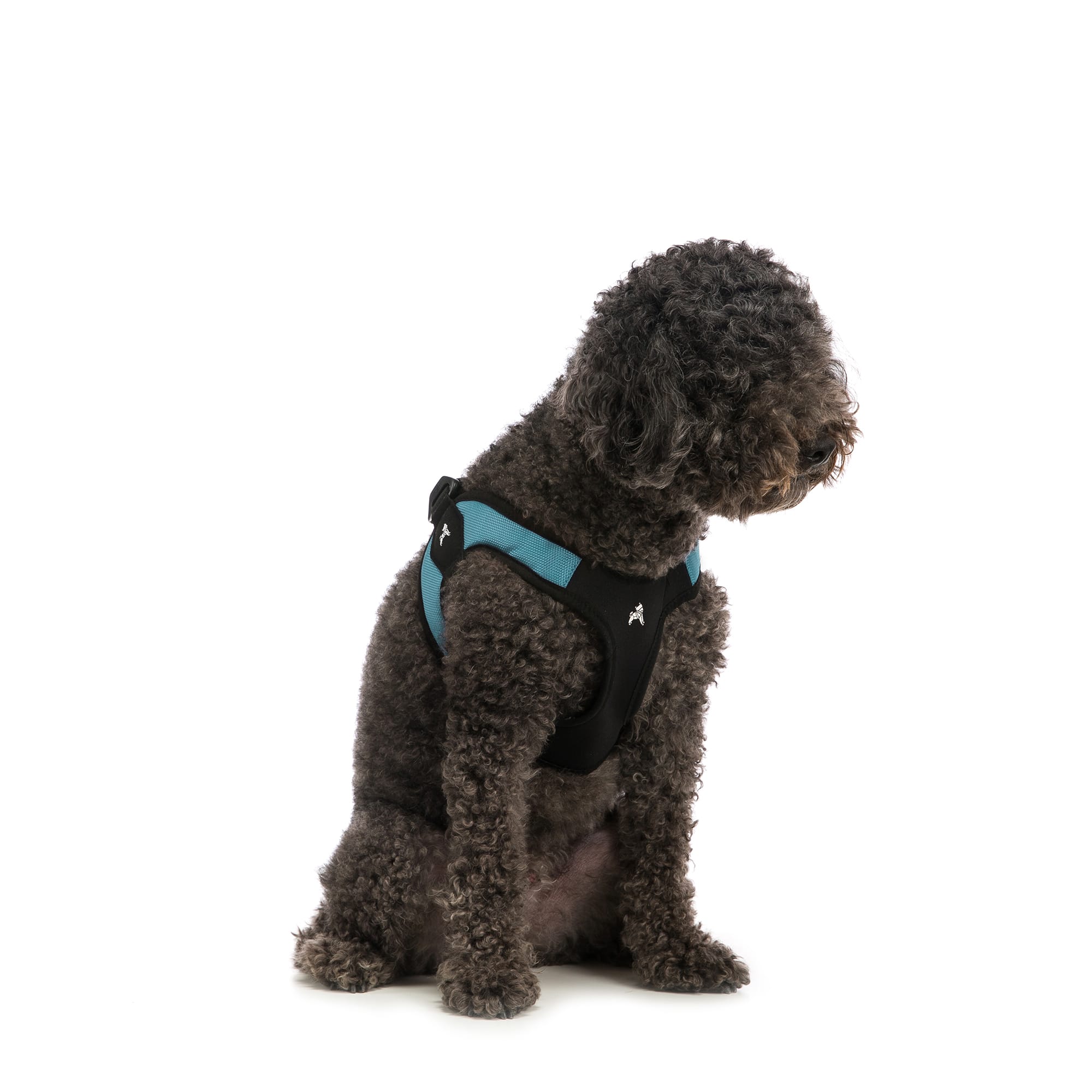 Gooby Escape Free Harness in Turquoise