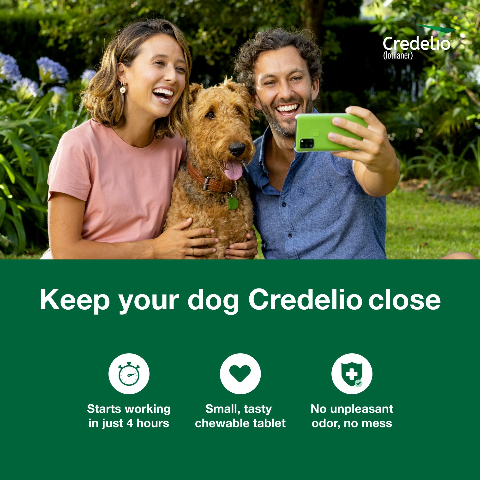 Credelio Chewable Tablet for Dogs 25.1-50 lbs, 3 Month Supply, 3 CT