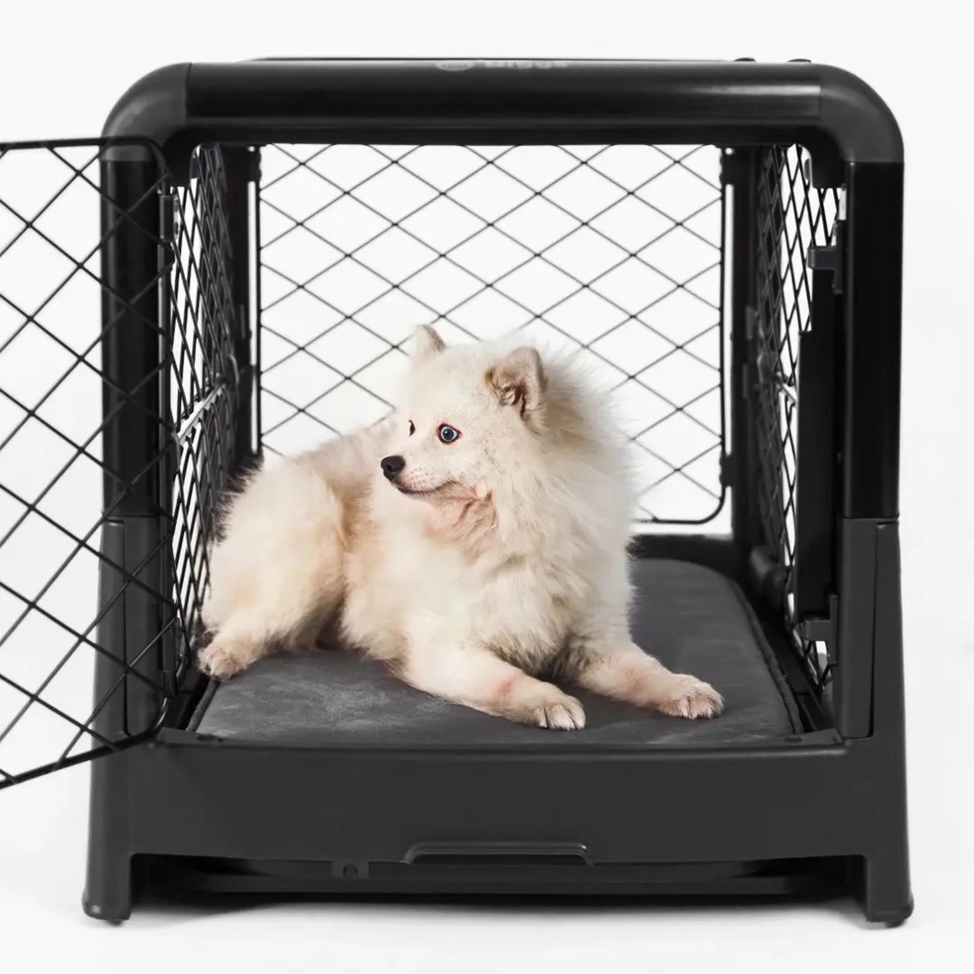 Diggs Charcoal Revol Double-Door Collapsible Dog Crate with Tray and Divider