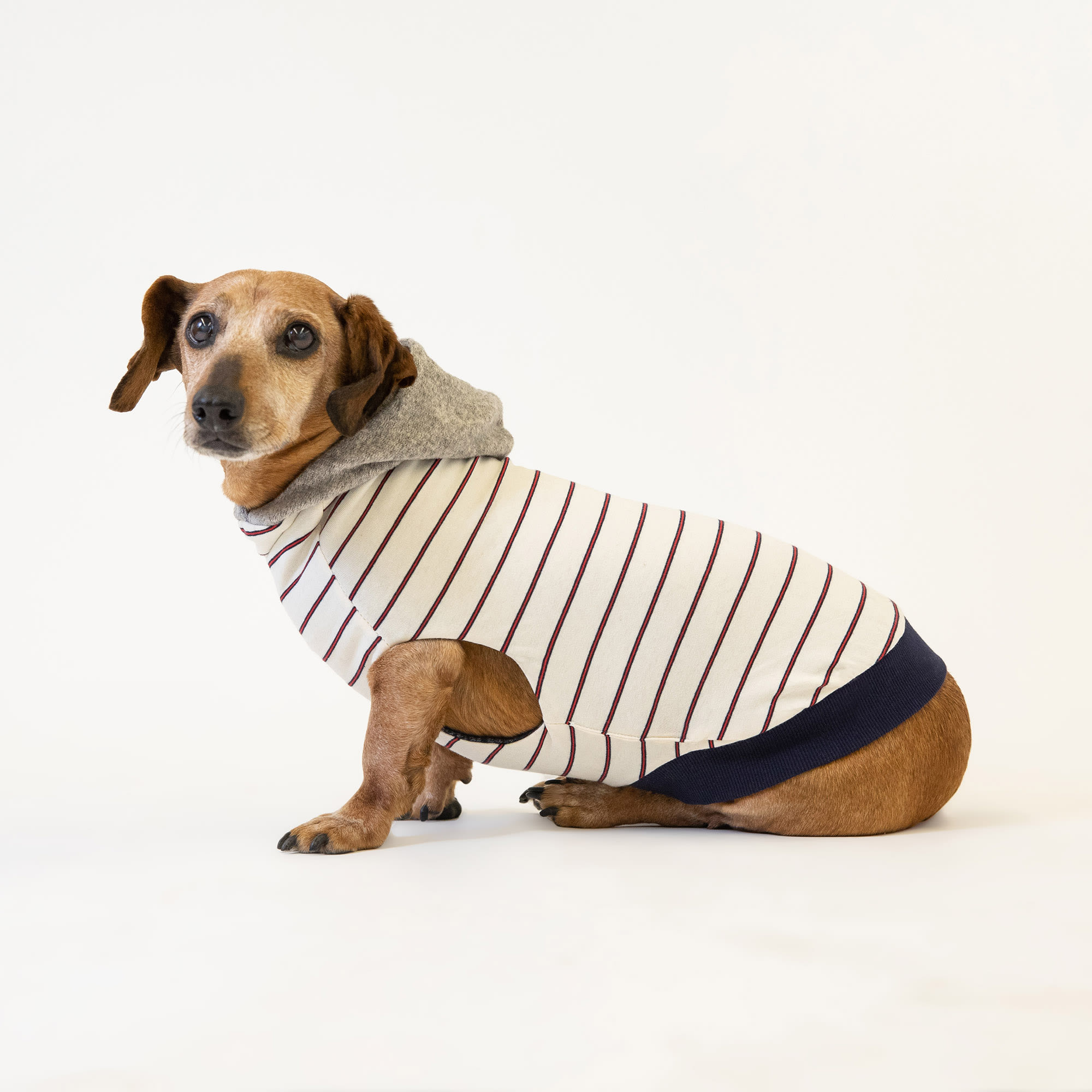Long Dog Clothing Co. "The Abe" Reversible Navy Blue/Stripe Sweater Hoodie for Dogs, X-Small, Blue / Cream