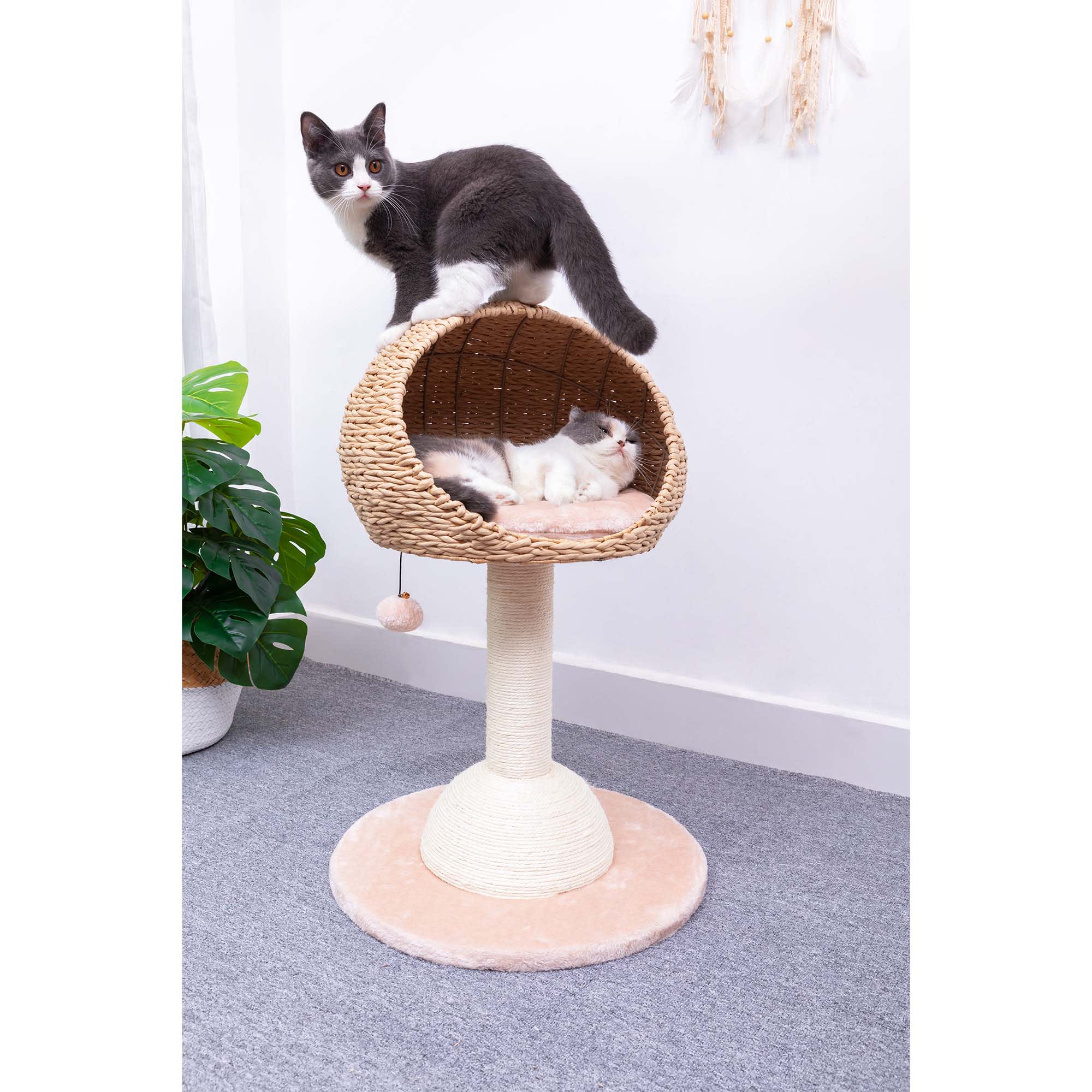 PetPals Group Lookout 2-Level Cat Tree with Perch, 30" H, 24 LBS, Off-White