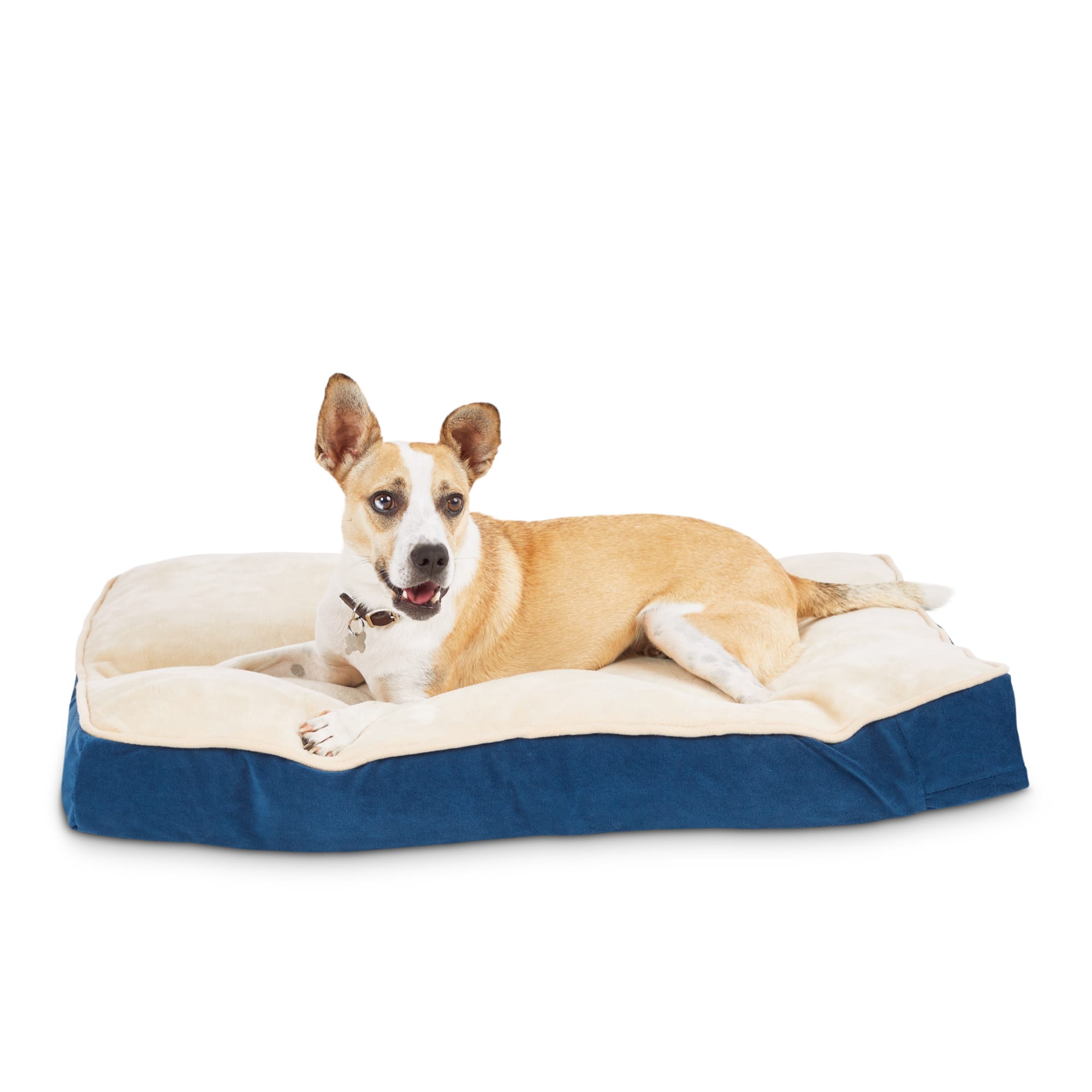 EveryYay Essentials Snooze Fest Blue Lounger Dog Bed