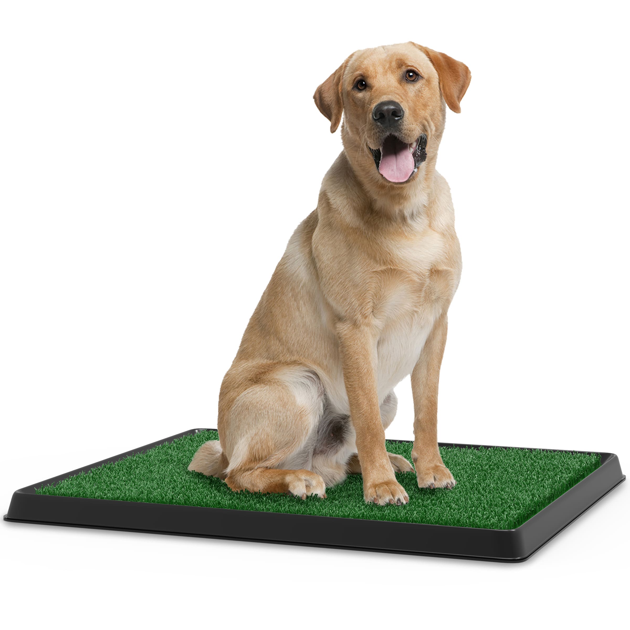 Pet Adobe Artificial Grass Potty Trainer Mat for Dogs